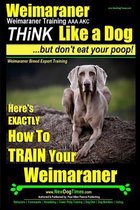 Weimaraner, Weimaraner Training AAA AKC