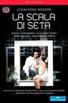 Daniele Zanfardino, Olga Peretyatko, Anna Malavasi, José Manuel Zapata - Rossini: La Sacala Di Seta (DVD)