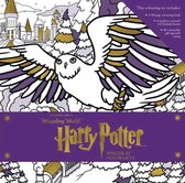 Harry potter: winter at hogwarts: magical colouring set