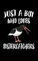 Just A Boy Who Loves Oystercatchers
