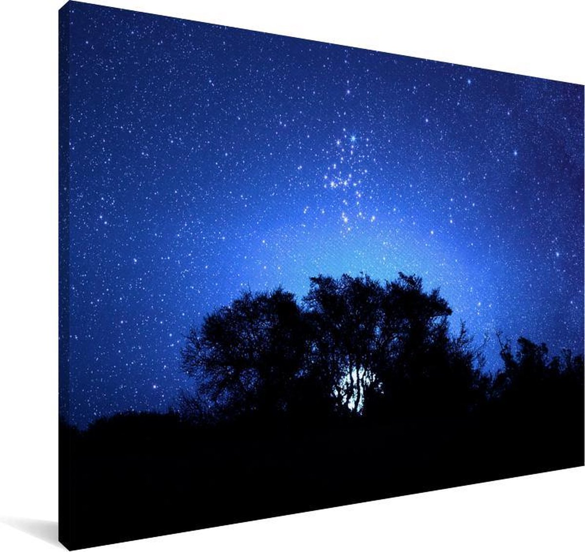 Canvas Schilderij Vuurvliegjes boven een donker bos in de donkerblauwe  lucht - 140x90... | bol.com