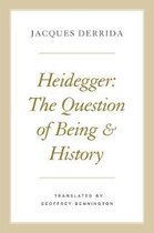 Heidegger – The Question of Being and History