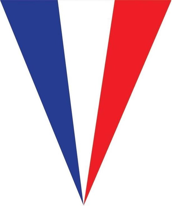 Frankrijk thema vlaggenlijn - 5 meter - kunststof - buiten/binnen - feestslinger