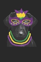 Labrador Retriever Notebook - Mardi Gras Gift for Labrador Retriever Lovers - Labrador Retriever Journal