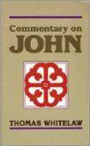 Commentary on John