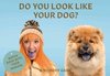 Afbeelding van het spelletje Do You Look Like Your Dog?
