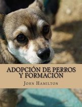 Adopcion De Perros Y Formacion