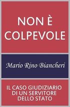 Non colpevole