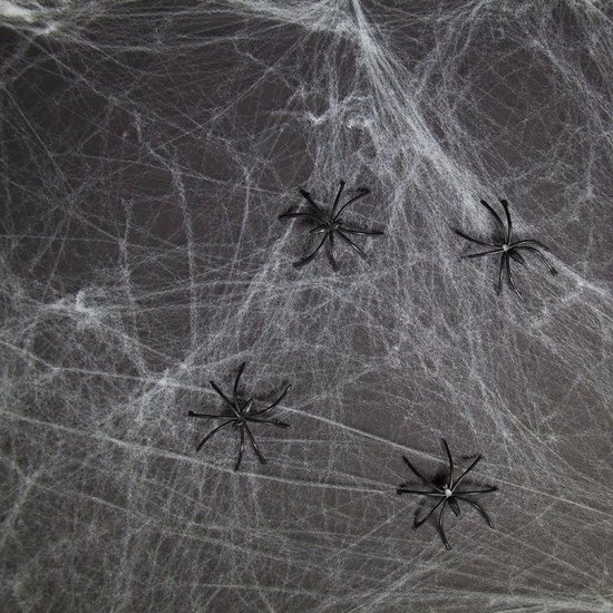 Voor type Discrepantie Luiheid Decoratie spinnenweb 500 gram | bol.com