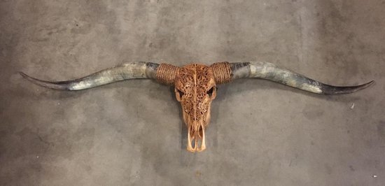 Vtw Living - Longhorn Skull gegraveerd - Longhoorn - 160 cm premium