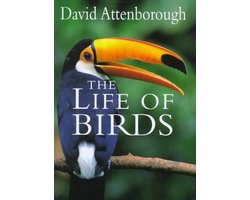 The Life of Birds