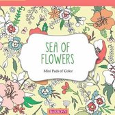 Sea of Flowers