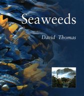 Seaweeds