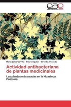 Actividad Antibacteriana de Plantas Medicinales