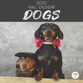 2020 Wall Calendar Dogs