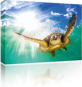 Sound Art - Canvas + Bluetooth Speaker Turtle In The Sea (23 x 28cm)