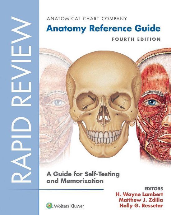Rapid Review: Anatomy Reference Guide - cover