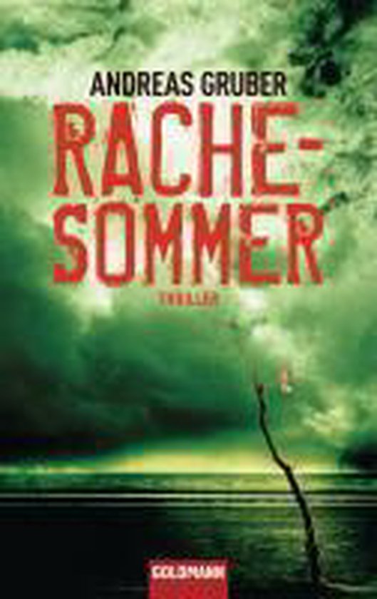 Boek "Rachesommer" door Andreas Gruber. "Thriller" staat onder de titel. De achtergrond toont een dramatische, groene lucht boven een donkere zee.