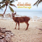 Fruit Bats - Gold Past Life (CD)