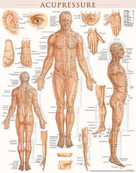 Acupressure-Laminated - cover