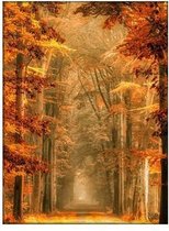 Hobbycave® Diamond Painting Volwassenen En Kinderen - 40x50 - Volledig Pakket - Vierkante Steentjes - Bos