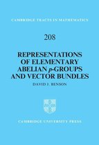 Cambridge Tracts in Mathematics 208 - Representations of Elementary Abelian p-Groups and Vector Bundles