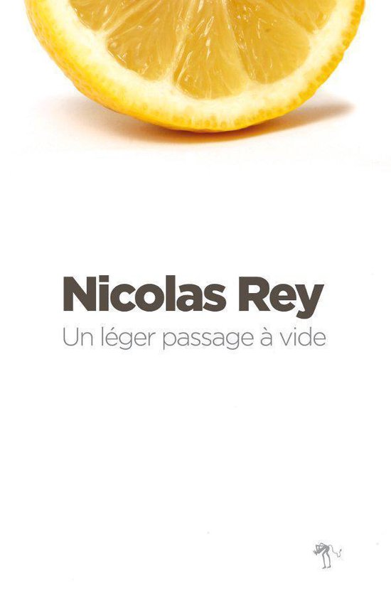 Un léger passage à vide (ebook), Nicolas Rey | 9782846263061 | Livres |  bol.com