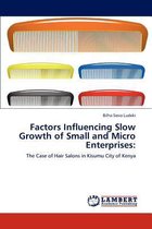 Factors Influencing Slow Growth of Small and Micro Enterprises