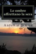 Le Ombre Affrettano La Sera