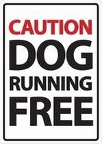 Caution Dog Running Free