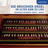 Die Bruckner-Orgel Im Alten Dom Zu Linz