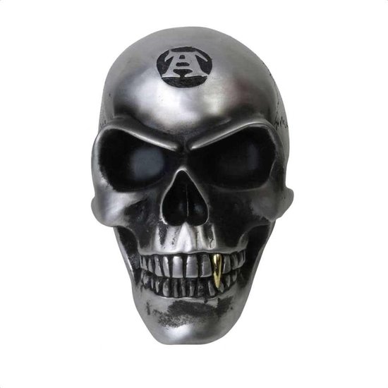 Alchemy Gothic Beeld/figuur Metalised Alchemist skull Zilverkleurig