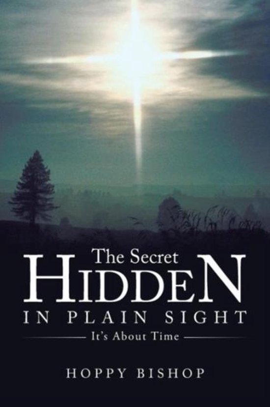 The Secret Hidden in Plain Sight 9781490835587 Hoppy