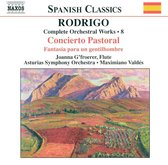 Orquesta Sinfonica Del Principado D - Spanish Class. / Flute Concerto (CD)