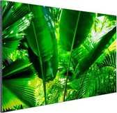 Wanddecoratie Metaal - Aluminium Schilderij Industrieel - Tropische bladeren in jungle fotoprint - 180x120 cm - Dibond - Foto op aluminium - Industriële muurdecoratie - Voor de woonkamer/slaapkamer