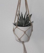 Macramé Plantenhanger Jute