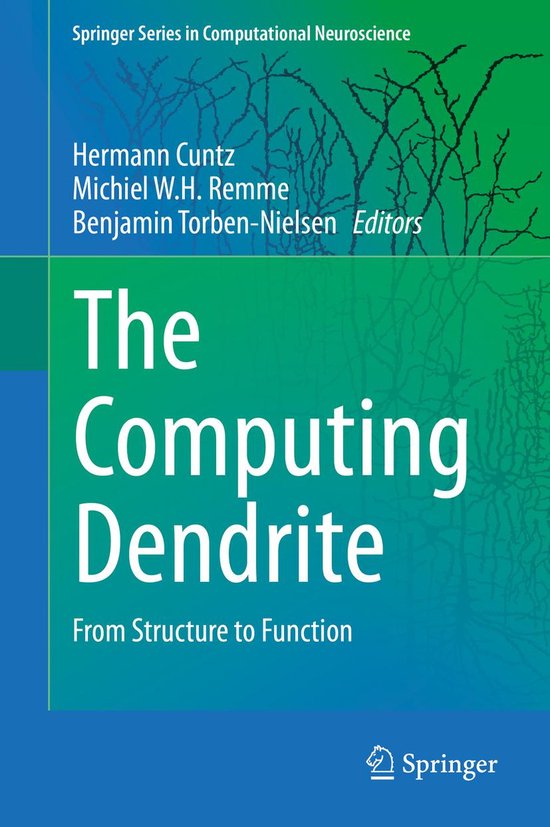 Springer Series in Computational Neuroscience 11 - The Compu ... - cover