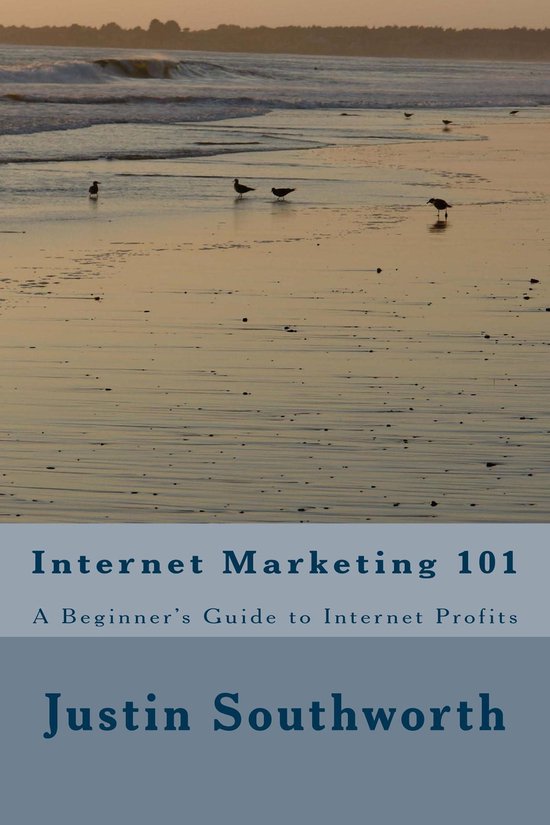 Internet Marketing 101: A Beginner's Guide to Internet Profi ... - cover