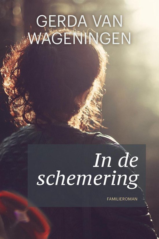 In de schemering - cover