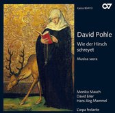 Monika Mauch, David Erler, Hans Jörg Mammel, L'Arpa Festante - Pohle: Wie Der Hirsch Schreyet - Musica Sacra (CD)