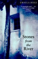 Boek "Stones from the River" van Ursula Hegi, met een raam en een boom voor een stenen muur.
