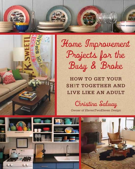 Home Improvement Projects for the Busy & Broke - cover