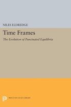 Time Frames - The Evolution of Punctuated Equilibria