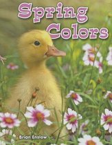 All about Colors of the Seasons- Spring Colors