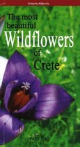 The Most Beautiful Wildflowers of Crete