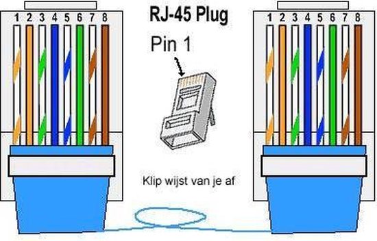 kleuring doos Boven hoofd en schouder RJ45 CAT6/CAT-5E / connector afgeschermd UTP connector per 10 stuks |  bol.com