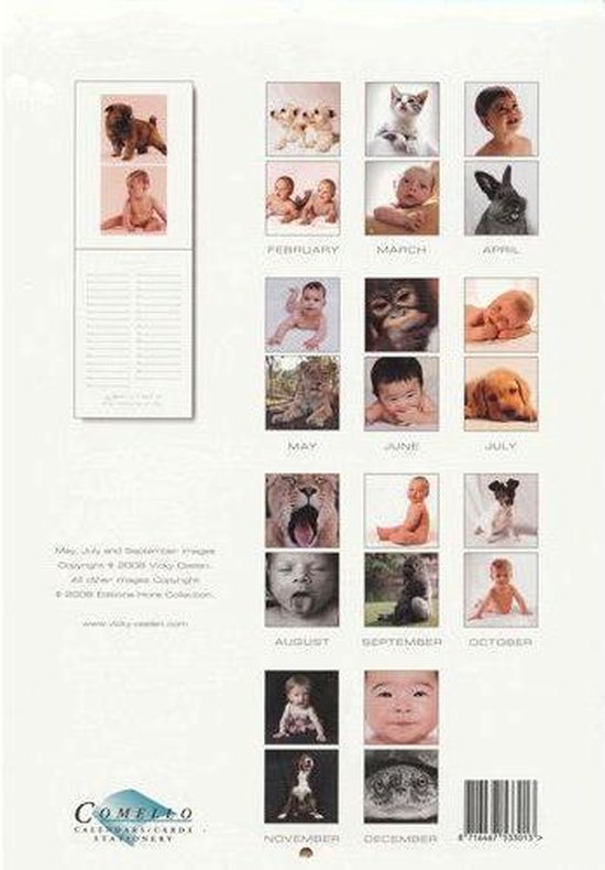 Cover van het boek 'Friends like us / verjaardags kalender'