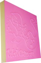 Sterrenbeeld Geboortecadeau Waterman