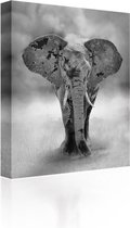 Sound Art - Canvas + Bluetooth Speaker Elephant (23 x 28cm)