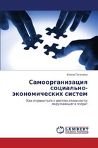 Samoorganizatsiya sotsial'no-ekonomicheskikh sistem